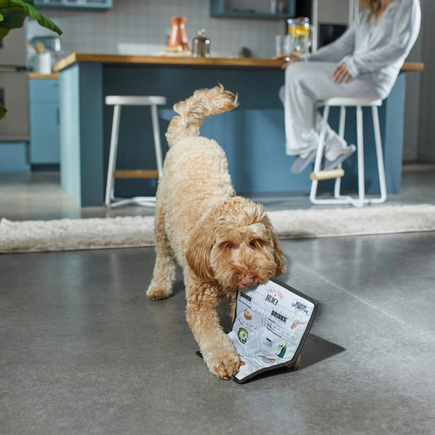 Frisco Brunch Menu Ballistic Nylon Flat Plush Squeaky Dog Toy 3 Frisco Brunch Menu Ballistic Nylon Flat Plush Squeaky Dog Toy - Image 3