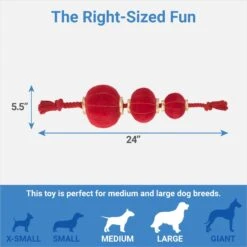 Frisco Lunar New Year Lantern Plush With Rope Squeaky Dog Toy 4 Frisco Lunar New Year Lantern Plush With Rope Squeaky Dog Toy -Paws Joy Outlet Store 298885 PT1. AC SS1800 V1673964150