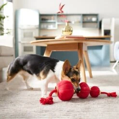 Frisco Lunar New Year Lantern Plush With Rope Squeaky Dog Toy 5 Frisco Lunar New Year Lantern Plush With Rope Squeaky Dog Toy -Paws Joy Outlet Store 298885 PT3. AC SS1800 V1640269279