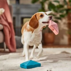 Frisco Valentine Love Letters Latex Squeaky Dog Toy -Paws Joy Outlet Store 298925 PT3. AC SS1800 V1701365173