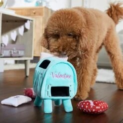 Frisco Valentine Love Letters Hide & Seek Puzzle Plush Squeaky Dog Toy -Paws Joy Outlet Store 298929 PT3. AC SS1800 V1638987486