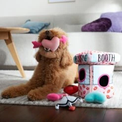 Frisco Valentine Kissing Booth Hide & Seek Puzzle Plush Squeaky Dog Toy -Paws Joy Outlet Store 298943 PT3. AC SS1800 V1638987417