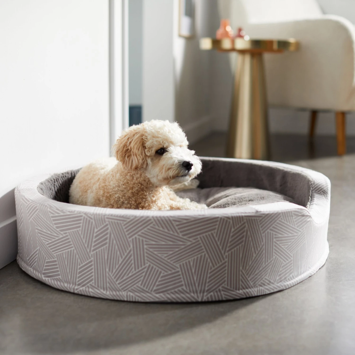 Frisco Ortho Cuddler Dog & Cat Bed 1 Frisco Ortho Cuddler Dog & Cat Bed