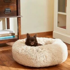 Frisco Eyelash Cat & Dog Bolster Bed & Frisco Eyelash Cat & Dog Bolster Bed -Paws Joy Outlet Store 302450 PT4. AC SS1800 V1623046356
