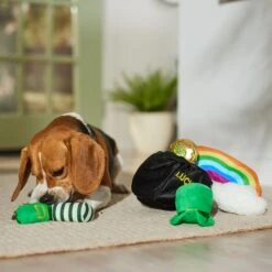 Frisco St. Patrick's Pot Of Gold Hide & Seek Puzzle Plush Squeaky Dog Toy 10 Frisco St. Patrick's Pot Of Gold Hide & Seek Puzzle Plush Squeaky Dog Toy -Paws Joy Outlet Store 303130 PT4. AC SS1800 V1700163009