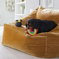 Frisco St. Patrick's Rainbow And Pot Of Gold Latex Squeaky Dog Toy 8 Frisco St. Patrick's Rainbow And Pot Of Gold Latex Squeaky Dog Toy -Paws Joy Outlet Store 303136 PT4. AC SS1800 V1702500566