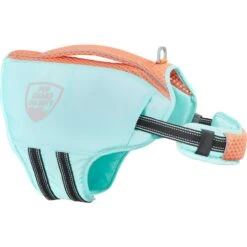 Frisco Active Dog Life Jacket & Frisco Foam Rubber Floating Fetch Ball No Squeak Dog Toy -Paws Joy Outlet Store 303364 PT2. AC SS1800 V1623163059