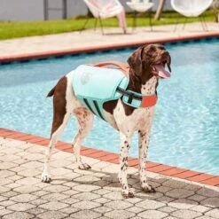 Frisco Active Dog Life Jacket & Frisco Foam Rubber Floating Fetch Ball No Squeak Dog Toy -Paws Joy Outlet Store 303364 PT3. AC SS1800 V1623163058