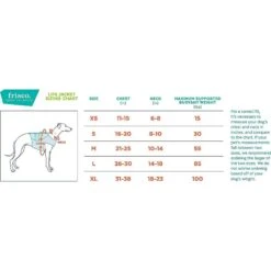 Frisco Active Dog Life Jacket & Frisco Foam Rubber Floating Fetch Ball No Squeak Dog Toy -Paws Joy Outlet Store 303364 PT5. AC SS1800 V1623163949