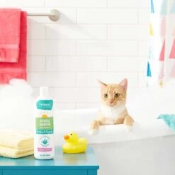 Frisco Aloe Hydrating Dog & Cat Spray, Sweet Nectar Scent & Frisco Oatmeal Dog & Cat Shampoo, Almond Scent -Paws Joy Outlet Store 303372 PT8. AC SS1800 V1623070966