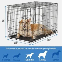 Frisco Fold & Carry Double Door Collapsible Wire Dog Crate & Mat Kit & Frisco Stainless Steel Bowl 10 Frisco Fold & Carry Double Door Collapsible Wire Dog Crate & Mat Kit & Frisco Stainless Steel Bowl -Paws Joy Outlet Store 303428 PT2. AC SS1800 V1623055045