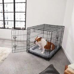 Frisco Fold & Carry Double Door Collapsible Wire Dog Crate & Mat Kit & Frisco Stainless Steel Bowl 12 Frisco Fold & Carry Double Door Collapsible Wire Dog Crate & Mat Kit & Frisco Stainless Steel Bowl -Paws Joy Outlet Store 303428 PT4. AC SS1800 V1623089543