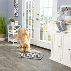 Frisco Fold & Carry Double Door Collapsible Wire Dog Crate & Mat Kit & Frisco Stainless Steel Bowl 15 Frisco Fold & Carry Double Door Collapsible Wire Dog Crate & Mat Kit & Frisco Stainless Steel Bowl -Paws Joy Outlet Store 303428 PT7. AC SS1800 V1623045760