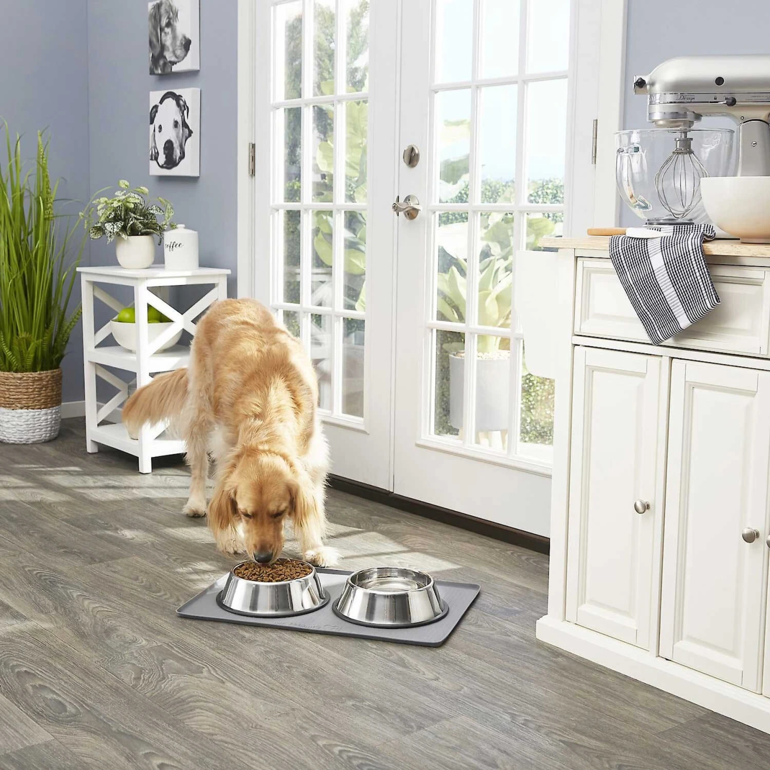 Frisco Fold & Carry Double Door Collapsible Wire Dog Crate & Mat Kit & Frisco Stainless Steel Bowl 8 Frisco Fold & Carry Double Door Collapsible Wire Dog Crate & Mat Kit & Frisco Stainless Steel Bowl - Image 8