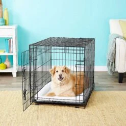 Frisco Fold & Carry Single Door Collapsible Wire Dog Crate & Frisco Premium Extra Large Printed Dog Training & Potty Pads -Paws Joy Outlet Store 303438 PT4. AC SS1800 V1623088347