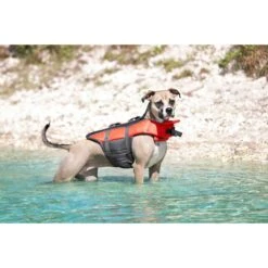 Frisco Ripstop Dog Life Jacket & Frisco Foam Rubber Floating Fetch Ball No Squeak Dog Toy 12 Frisco Ripstop Dog Life Jacket & Frisco Foam Rubber Floating Fetch Ball No Squeak Dog Toy -Paws Joy Outlet Store 303546 PT4. AC SS1800 V1623046643