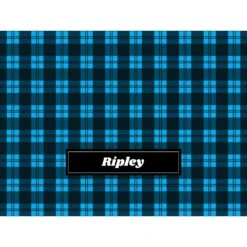 Frisco Personalized Plaid Soft Fleece Cat & Dog Blanket, 30" X 40" -Paws Joy Outlet Store 303999 PT4. AC SS1800 V1637610236