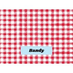 Frisco Personalized Gingham Plaid Soft Fleece Cat & Dog Blanket, 30" X 40" 10 Frisco Personalized Gingham Plaid Soft Fleece Cat & Dog Blanket, 30" X 40" -Paws Joy Outlet Store 304001 PT4. AC SS1800 V1637609279