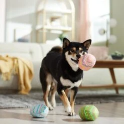 Frisco Easter Eggs Plush Squeaky Dog Toy 10 Frisco Easter Eggs Plush Squeaky Dog Toy -Paws Joy Outlet Store 304954 PT4. AC SS1800 V1702500565