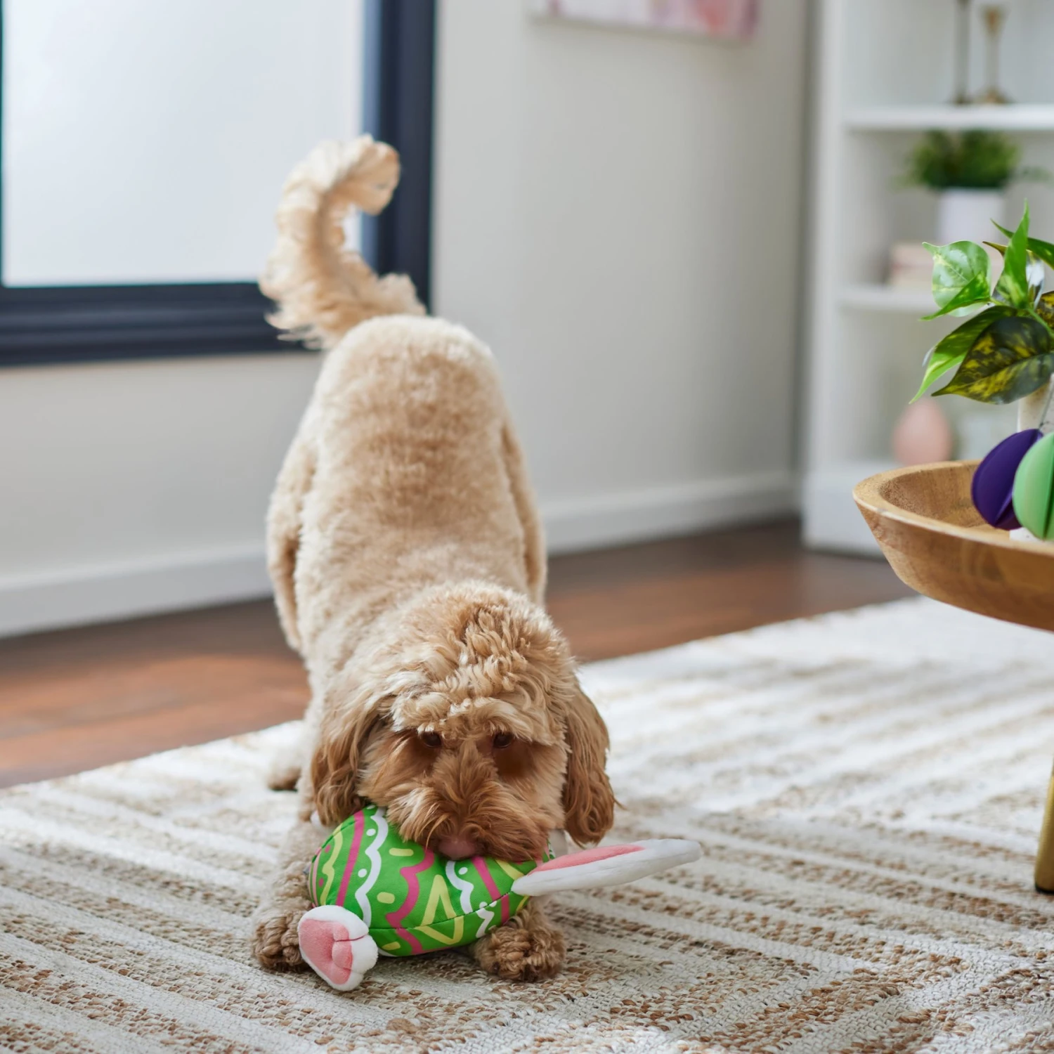 Frisco Easter Bunny Egg Plush Squeaky Dog Toy 4 Frisco Easter Bunny Egg Plush Squeaky Dog Toy - Image 4