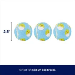 Paws Joy Outlet Store -Paws Joy Outlet Store 304964 PT1. AC SS1800 V1672780522