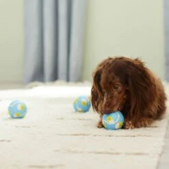 Frisco Easter Fetch Squeaky Tennis Ball Dog Toy, Medium, 3 Count 8 Frisco Easter Fetch Squeaky Tennis Ball Dog Toy, Medium, 3 Count -Paws Joy Outlet Store 304964 PT4. AC SS1800 V1703184745