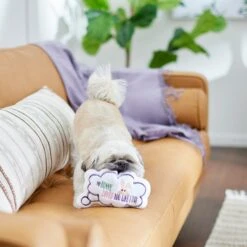 Frisco Easter Message Bubble Plush Squeaky Dog Toy -Paws Joy Outlet Store 304980 PT3. AC SS1800 V1642441439