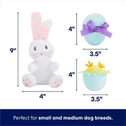 Frisco Easter Basket Hide & Seek Puzzle Plush Squeaky Dog Toy -Paws Joy Outlet Store 304982 PT2. AC SS1800 V1702665735