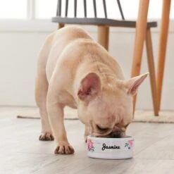 Frisco Personalized Rustic Ceramic Dog & Cat Bowl 7 Frisco Personalized Rustic Ceramic Dog & Cat Bowl -Paws Joy Outlet Store 306763 PT4. AC SS1800 V1639518086