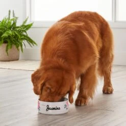 Frisco Personalized Rustic Ceramic Dog Bowl, 4.75-cup, 38oz -Paws Joy Outlet Store 306764 PT4. AC SS1800 V1639518092