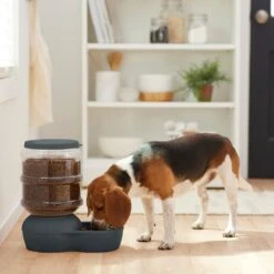 Frisco Wide Mouth Gravity Feeder 5 Frisco Wide Mouth Gravity Feeder -Paws Joy Outlet Store 308943 PT4. AC SS1800 V1634318507