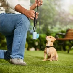 Frisco Dog Poop Bag Square Design Dispenser 12 Frisco Dog Poop Bag Square Design Dispenser -Paws Joy Outlet Store 309816 PT5. AC SS1800 V1670276147