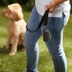 Frisco Poop Bag Square Design Dispenser 12 Frisco Poop Bag Square Design Dispenser -Paws Joy Outlet Store 309818 PT5. AC SS1800 V1669101248