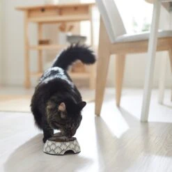 Frisco Moroccan Design Stainless Steel Dog & Cat Bowl -Paws Joy Outlet Store 311963 PT3. AC SS1800 V1642542386