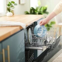 Frisco Coral Design Stainless Steel Dog & Cat Bowl -Paws Joy Outlet Store 311972 PT7. AC SS1800 V1642543254