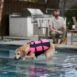 Frisco Ripstop Dog Life Jacket, Pink -Paws Joy Outlet Store 312380 PT8. AC SS1800 V1649275938