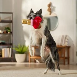 Frisco Valentine Ice Cream Plush Squeaky Dog Toy -Paws Joy Outlet Store 312895 PT3. AC SS1800 V1701364917