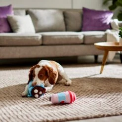 Frisco Valentine Coffee For Two Ballistic Nylon Plush Squeaky Dog Toy -Paws Joy Outlet Store 312897 PT3. AC SS1800 V1638987357