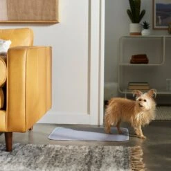 Frisco Washable Dog Potty Pads -Paws Joy Outlet Store 315712 PT3. AC SS1800 V1644880410