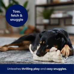 Frisco Realistic Opossum Plush Squeaky Dog Toy -Paws Joy Outlet Store 316929 PT4. AC SS1800 V1695760990