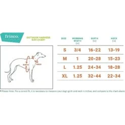 Frisco Outdoor Premium Ripstop Nylon Dog Harness With Pocket & Frisco Outdoor Nylon Reflective Comfort Padded Dog Collar -Paws Joy Outlet Store 319304 PT3. AC SS1800 V1631150776