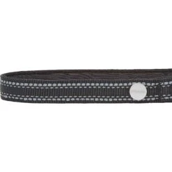 Frisco Outdoor Premium Ripstop Nylon Dog Harness With Pocket & Frisco Outdoor Nylon Reflective Comfort Padded Dog Collar -Paws Joy Outlet Store 319304 PT6. AC SS1800 V1631158591