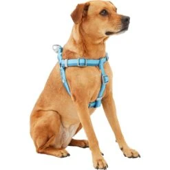 Frisco Outdoor Two Tone Waterproof Stinkproof PVC Dog Harness & Frisco Outdoor Two Tone Waterproof Stinkproof PVC Dog Harness -Paws Joy Outlet Store 319396 PT2. AC SS1800 V1630624884