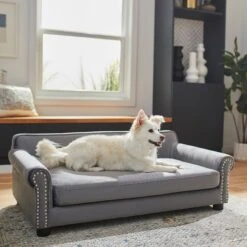 Frisco Sofa Pet Bed With Removable Cover & Frisco Eyelash Cat & Dog Blanket 13 Frisco Sofa Pet Bed With Removable Cover & Frisco Eyelash Cat & Dog Blanket -Paws Joy Outlet Store 319504 PT4. AC SS1800 V1630625195