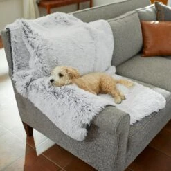 Frisco Sofa Pet Bed With Removable Cover & Frisco Eyelash Cat & Dog Blanket 17 Frisco Sofa Pet Bed With Removable Cover & Frisco Eyelash Cat & Dog Blanket -Paws Joy Outlet Store 319504 PT8. AC SS1800 V1630629098