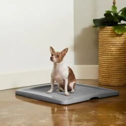 Frisco Training Pad Holder & Frisco Premium Dog Training & Potty Pads -Paws Joy Outlet Store 319526 PT4. AC SS1800 V1630624305