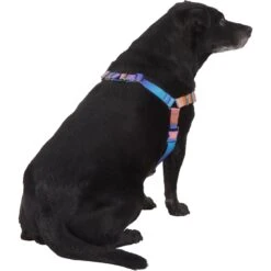 Frisco Purple Ombre Style Dog Harness -Paws Joy Outlet Store 324526 PT3. AC SS1800 V1642519104