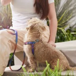 Frisco Purple Ombre Style Dog Harness -Paws Joy Outlet Store 324526 PT4. AC SS1800 V1642518470