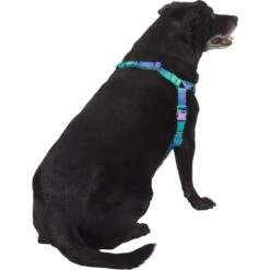 Frisco Green Ombre Style Dog Harness -Paws Joy Outlet Store 324531 PT3. AC SS1800 V1642518631