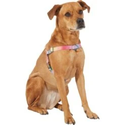 Frisco Pink Ombre Style Dog Harness 7 Frisco Pink Ombre Style Dog Harness -Paws Joy Outlet Store 324537 PT2. AC SS1800 V1642519336